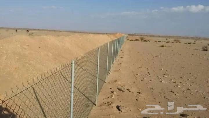 ابو احمد مقاول عام64200626920322111