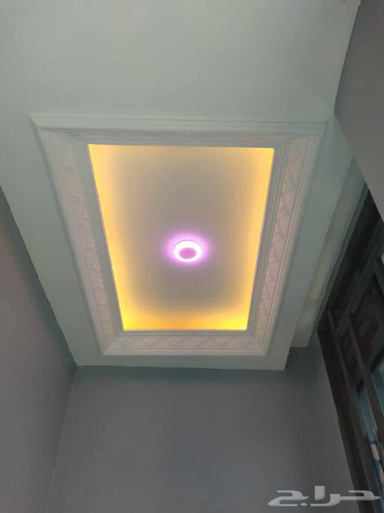 Paints and Decorations64199341723778111