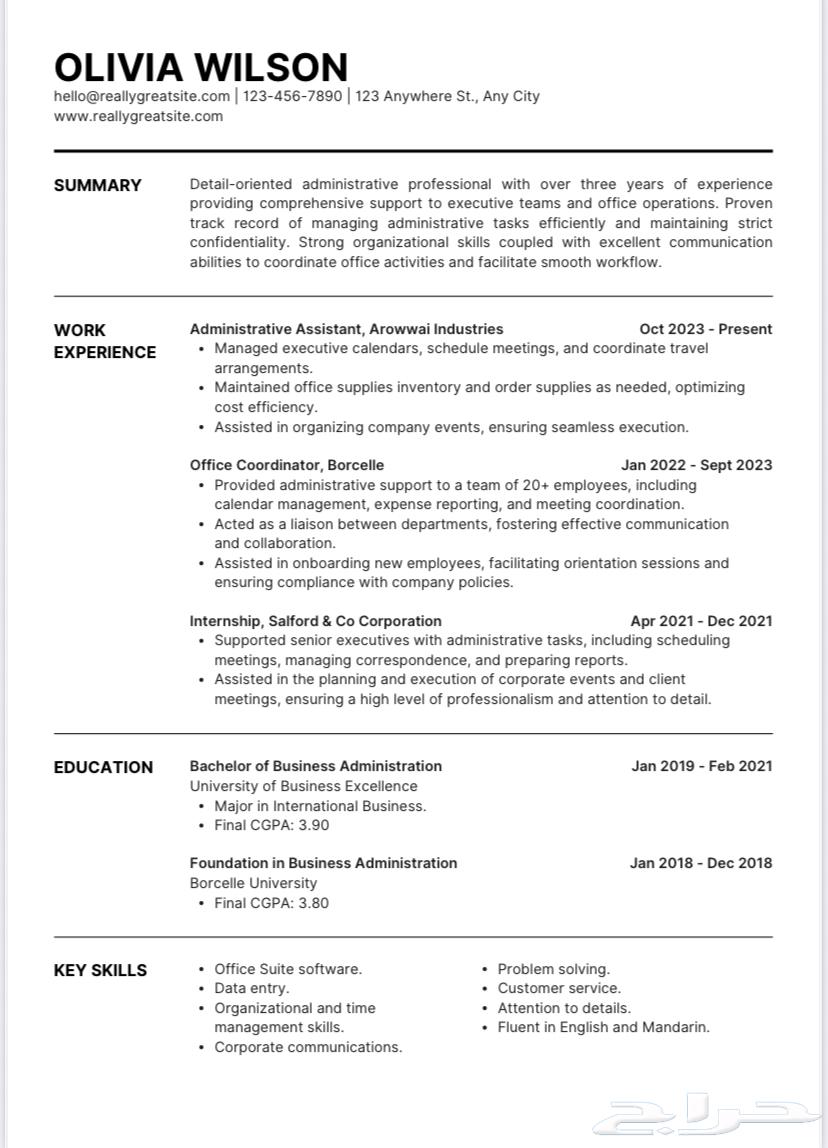 Professional CV according to ATS system64199340301187110