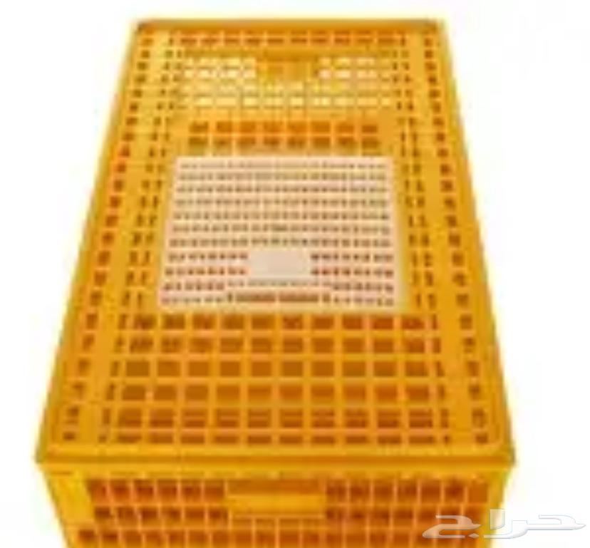 Chicken, rabbit, quail and pigeon crates64200421899521112