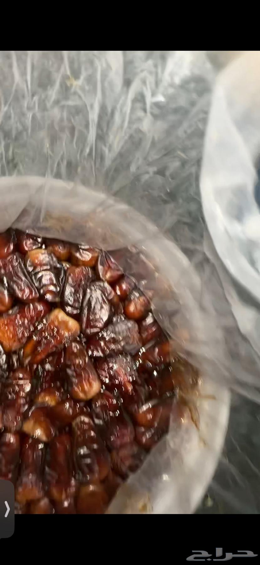 تمر برني العيص سطول64571589085187111