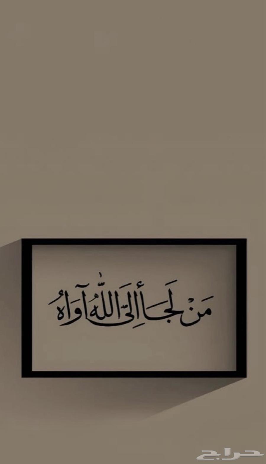 مطلوب شقه مفروشه64159482180995110
