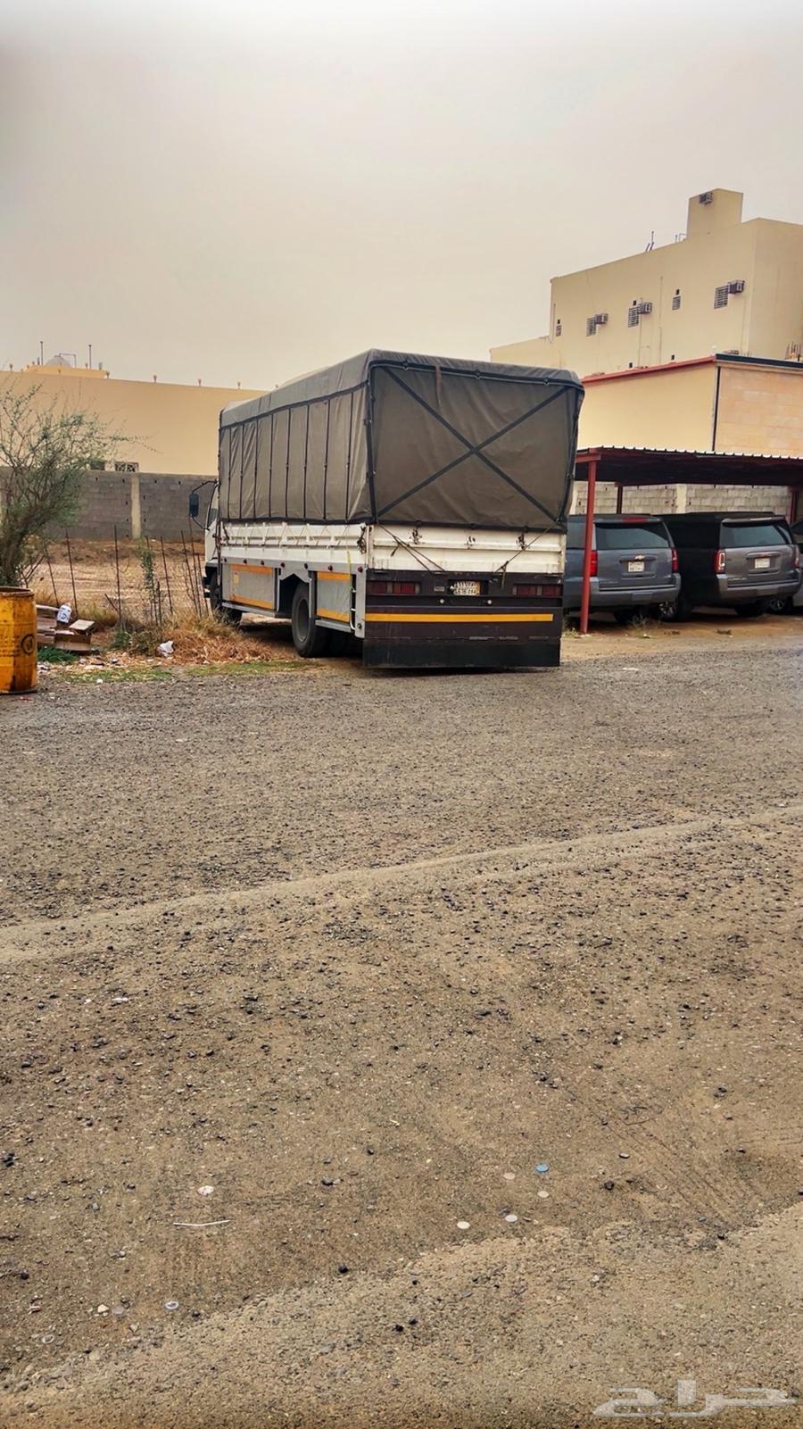 دينه لوري64201685643906111