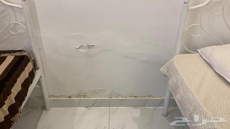 معالجة الرطوبة64202525238273114