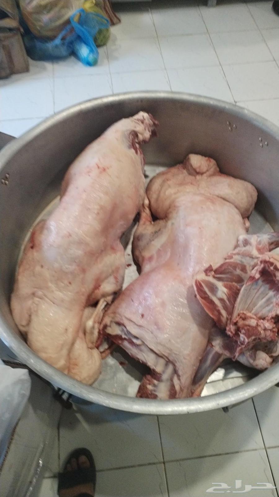 طباخ متنقل64202523536257114