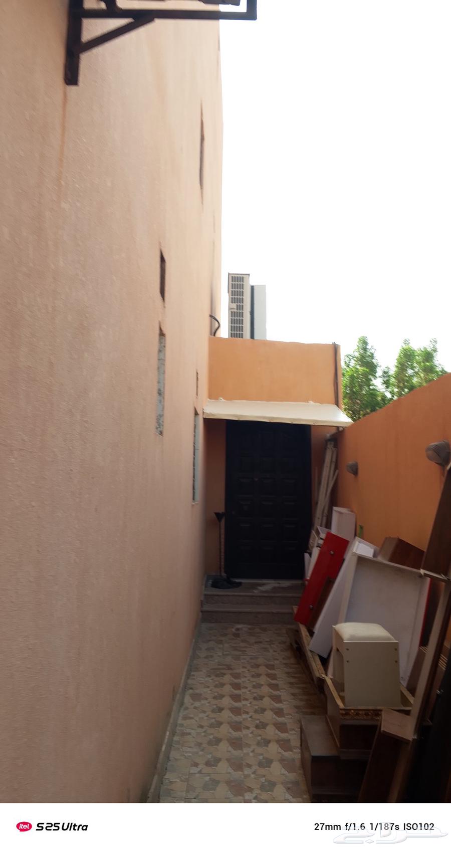 مضلات سيرات وسوتار وبيوتشر ملكي برجولات64202524093698112