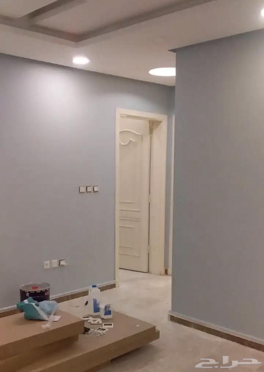 معلم دهانات دهان64202724071555114