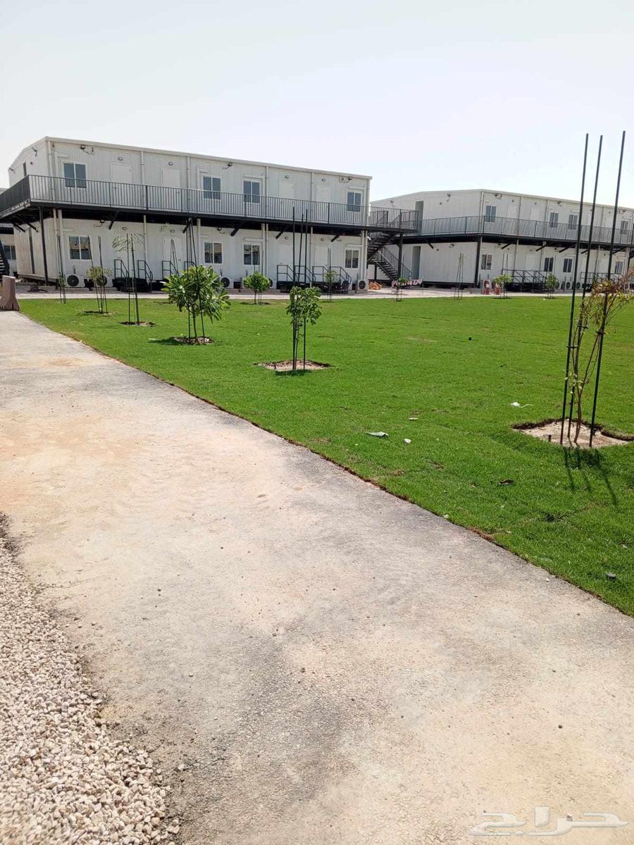 زراعه التيل الطبيعي64207262896899112