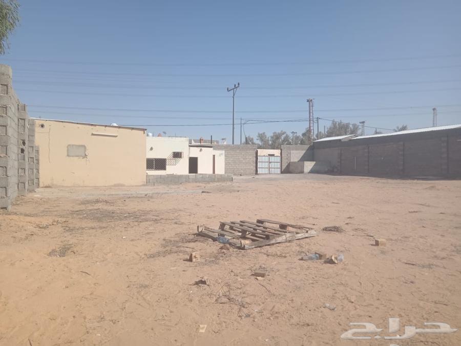 مطلوب حوش مسور64159957188866110