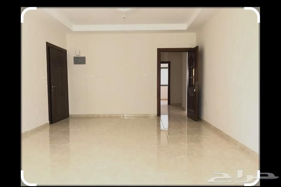 ابحث عن شقه ارضيه ايجار ( عرسان )64160908324609110