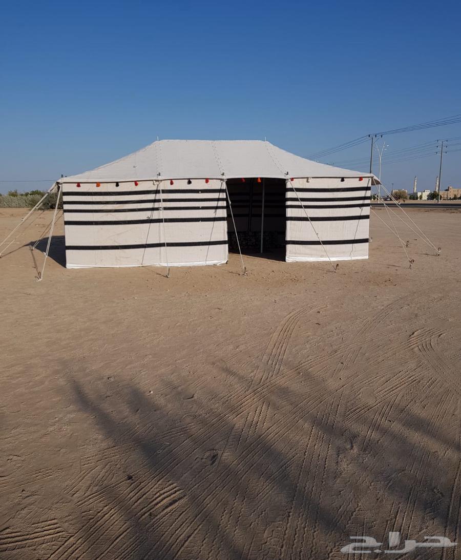 بيوت شعر وخيام ثابته64202311865218112