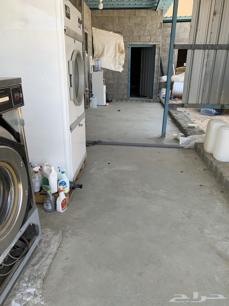 For rent: carpet, blanket and linen washing service64201683078914112