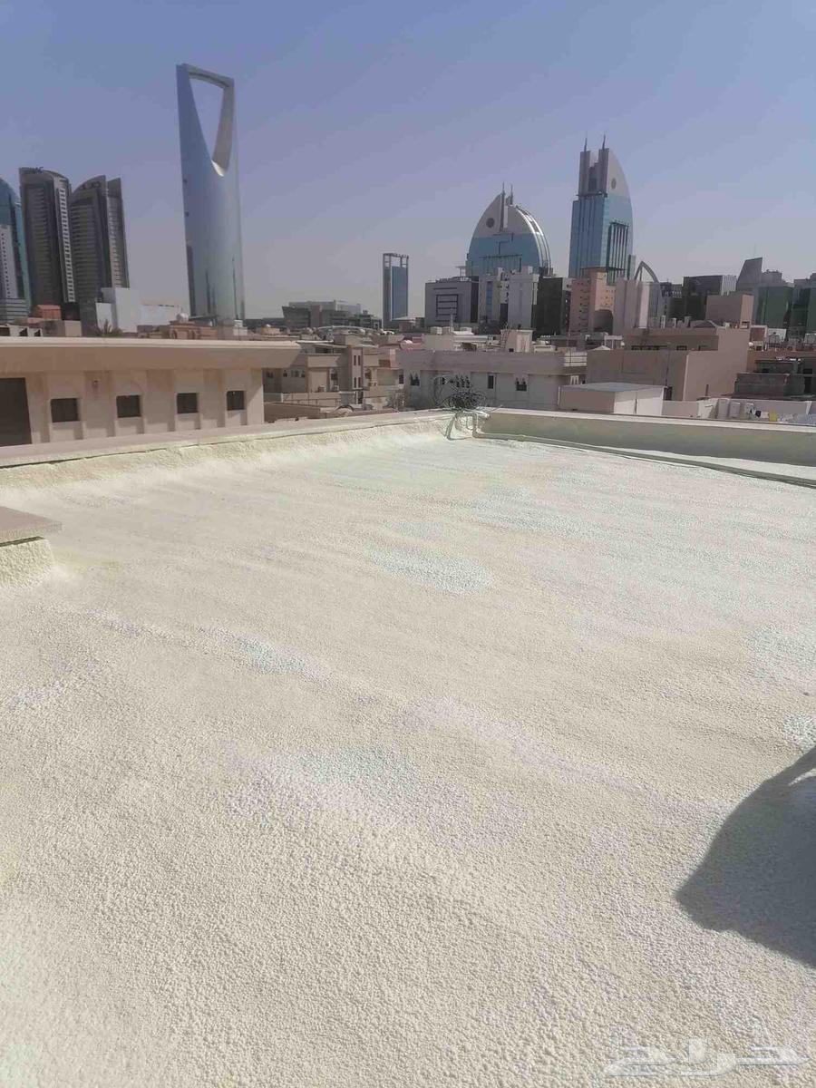 Foam insulation in Riyadh64202125302403113