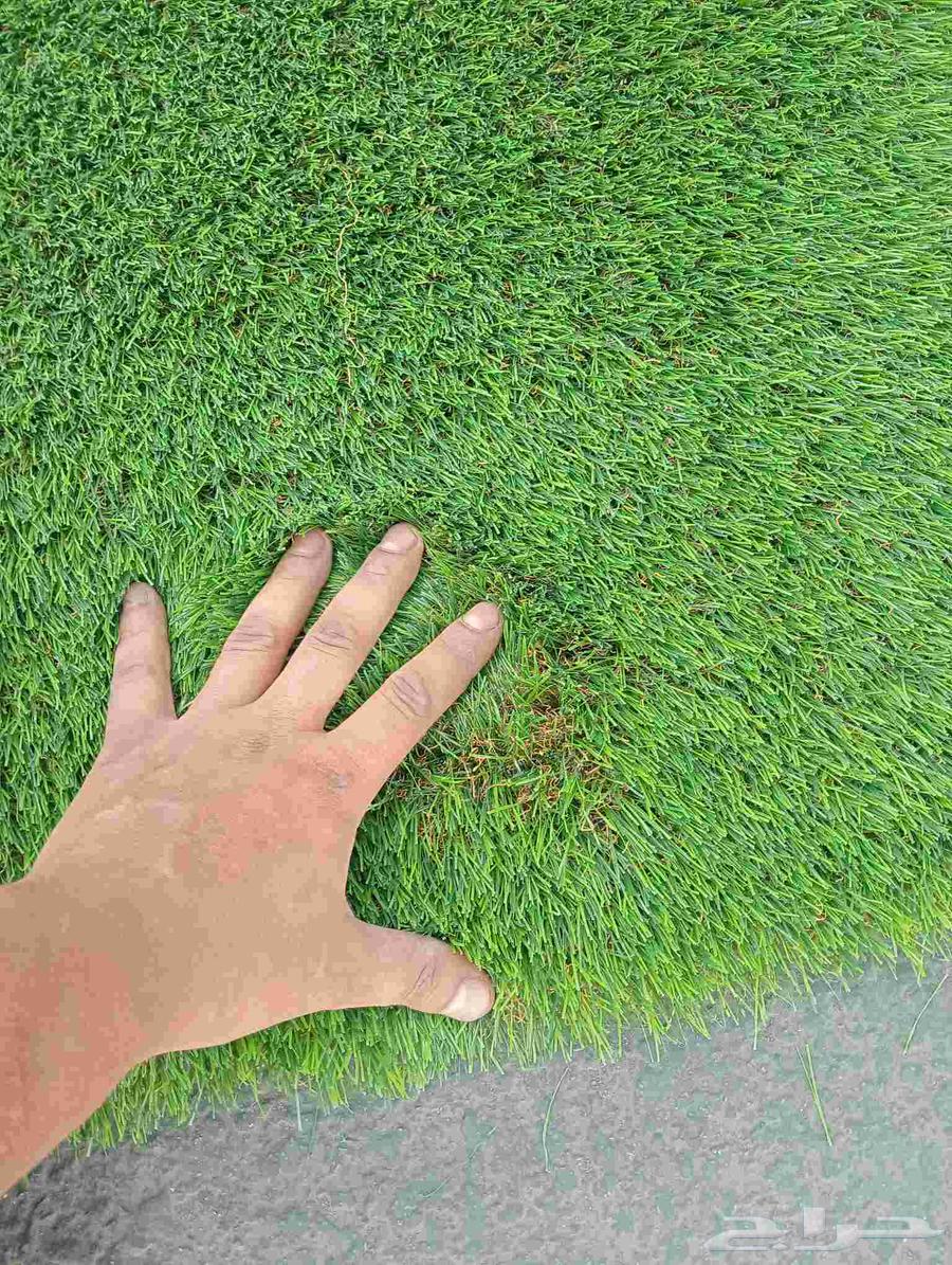 Garden_Layout Garden_Design Jeddah_Gardens Exterior_Design64202934764163113