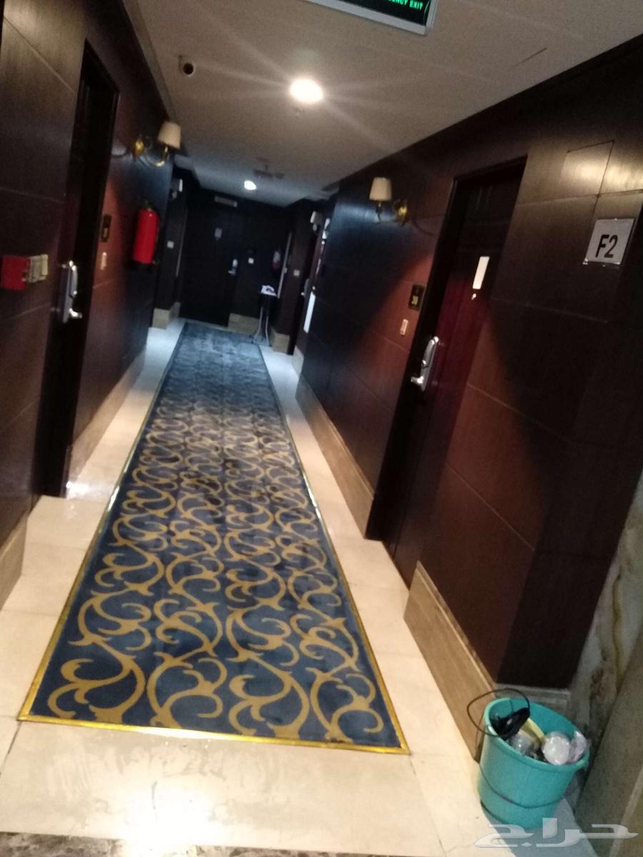 غسيل السجاد والكنب64202527238914113