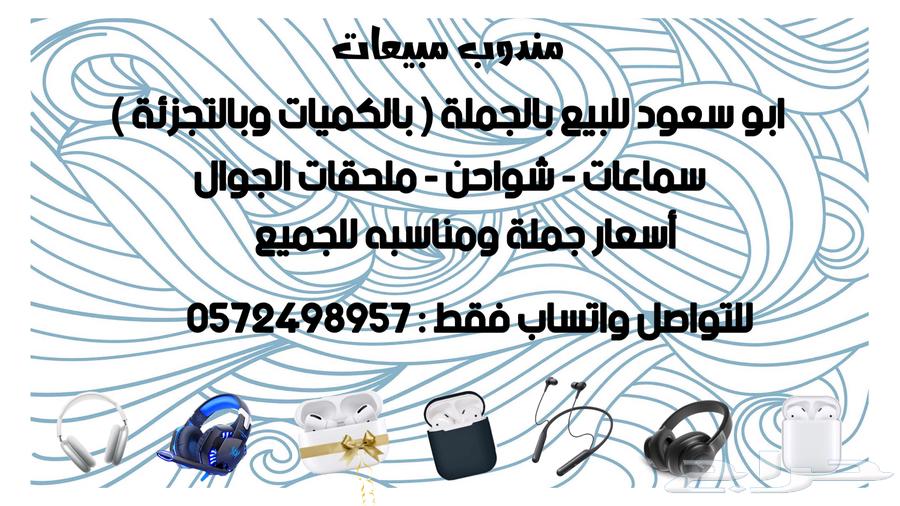 شاحن سياره budi اصلي مع كابل64670108079491112