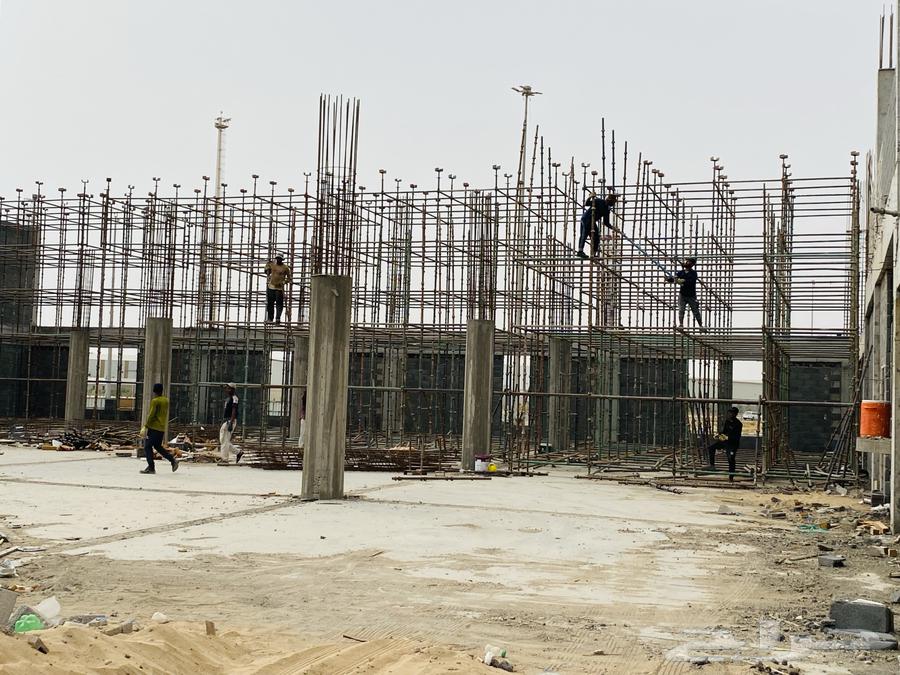 Metal scaffolding and metal structures for ceilings, facades, and cladding64202524737667114