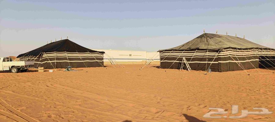 الغربي البطحاء64209220753666112