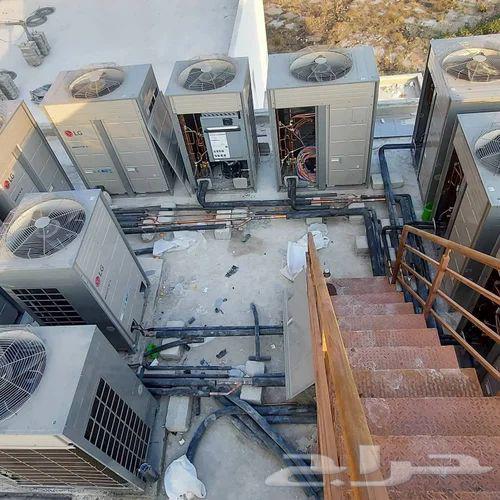 202564204579890561113