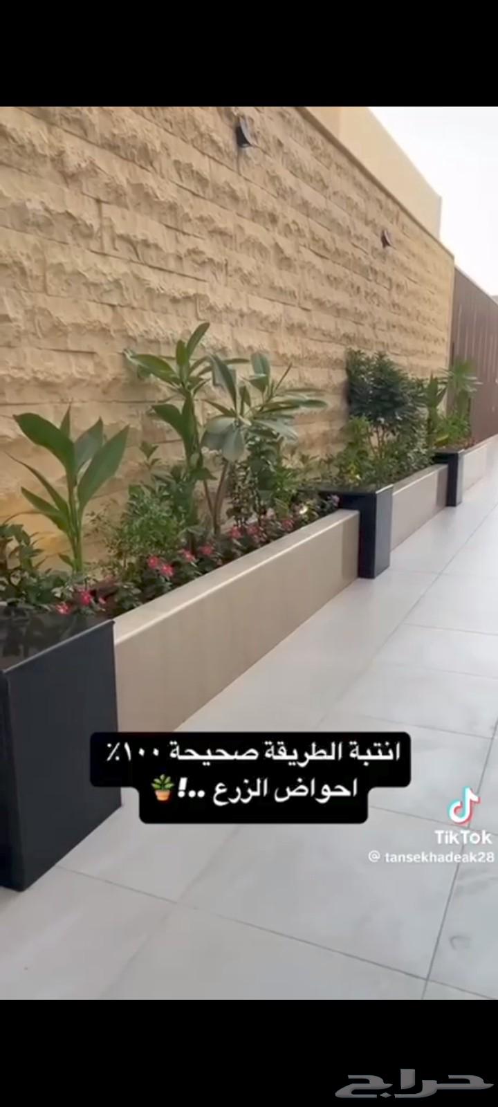 مبلط سامي64201681326338114