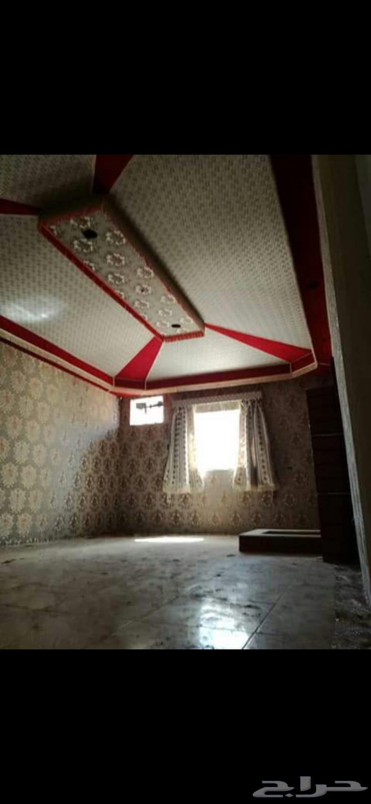 تنسيق حدائق ومظلات وديكور64202523590402111