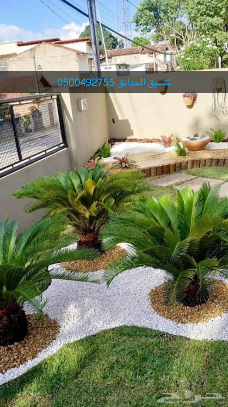 مشتل دار النبته64201681363329114