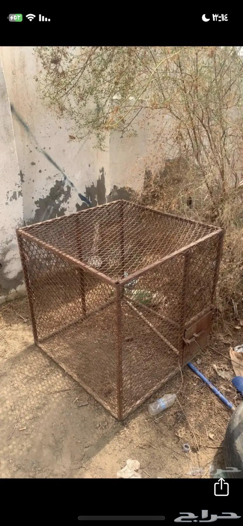 شبك حديد64202932028163110