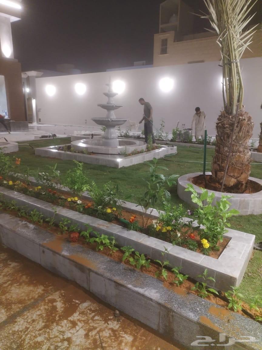 زراعه التيل الطبيعي64207262896899114