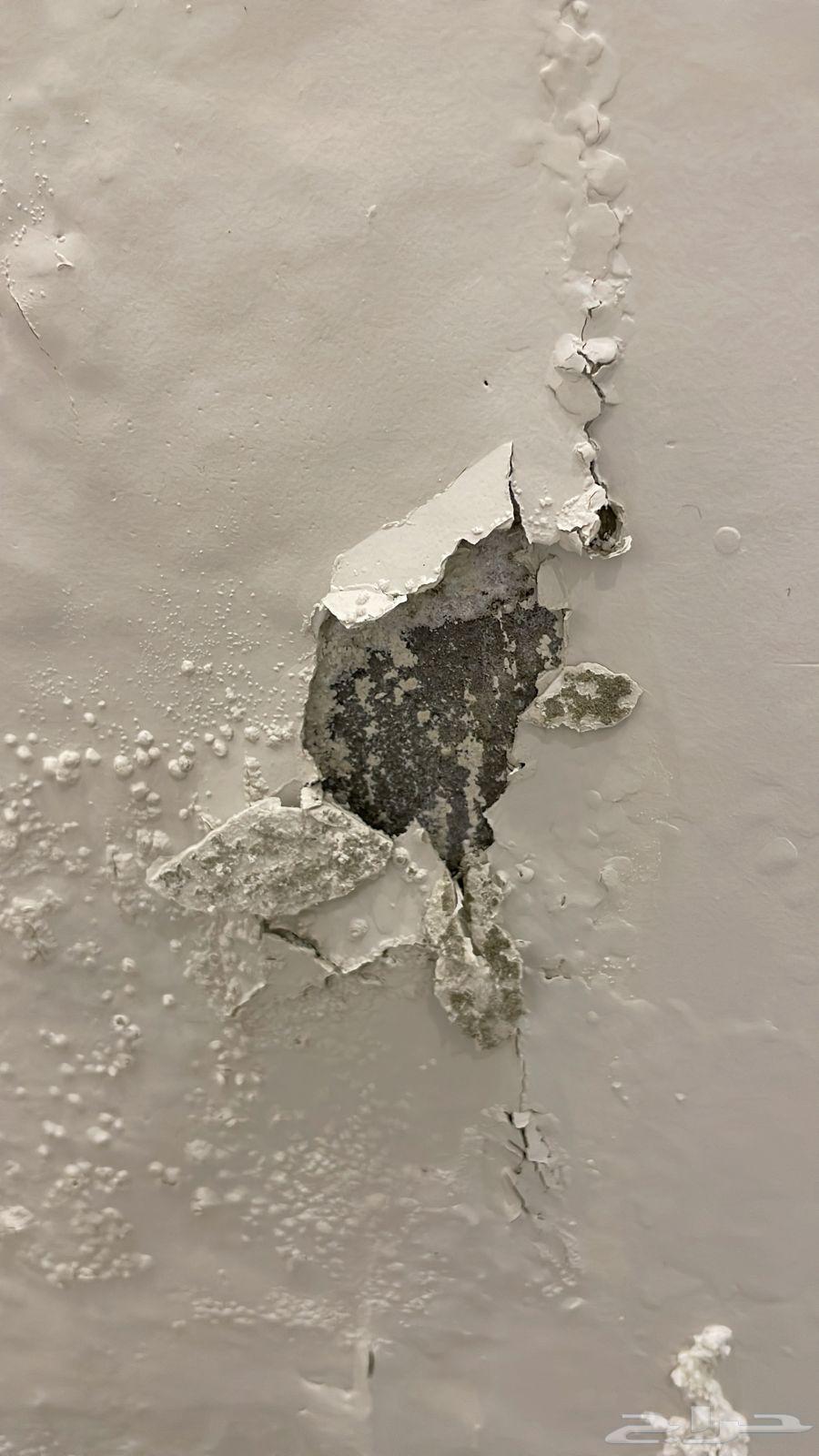 معالجة الرطوبة64202525238273110