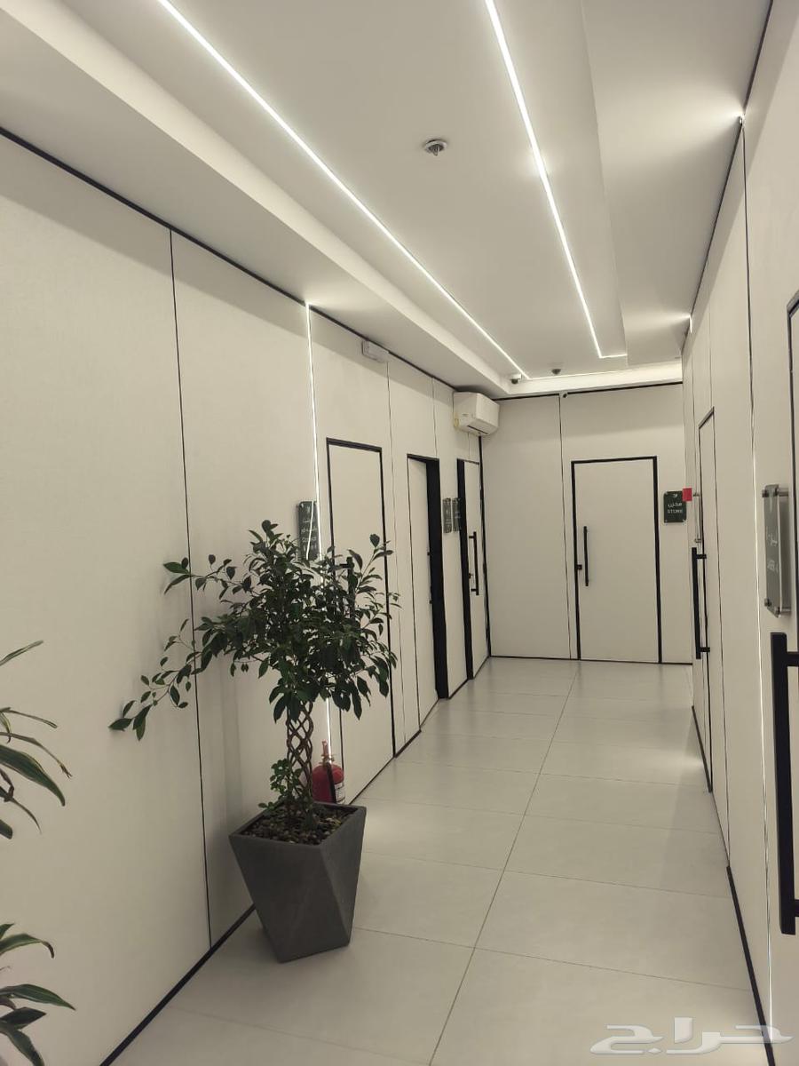 الخيال للديكوررات والتشطيبات64203123690370112