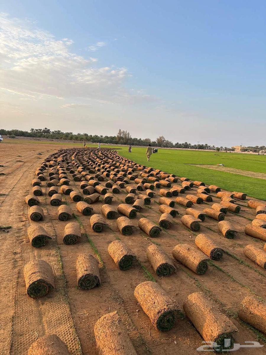 Garden Design64203600280067111