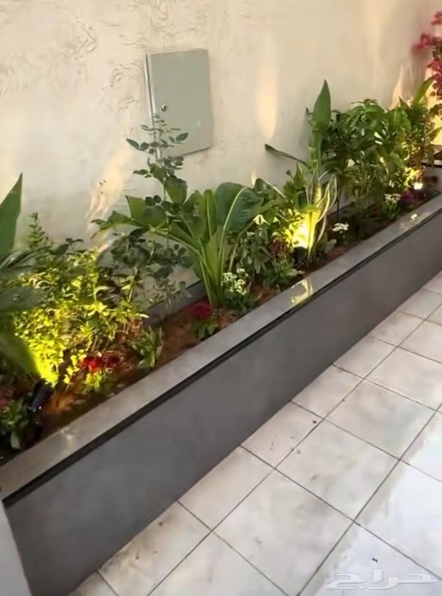 Raid Al Dekorat and Day Al Dawasir64203126901889112