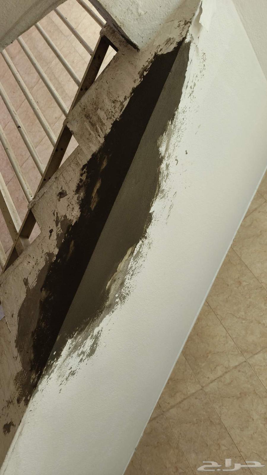 Laying, breaking and repairing64203600117379111