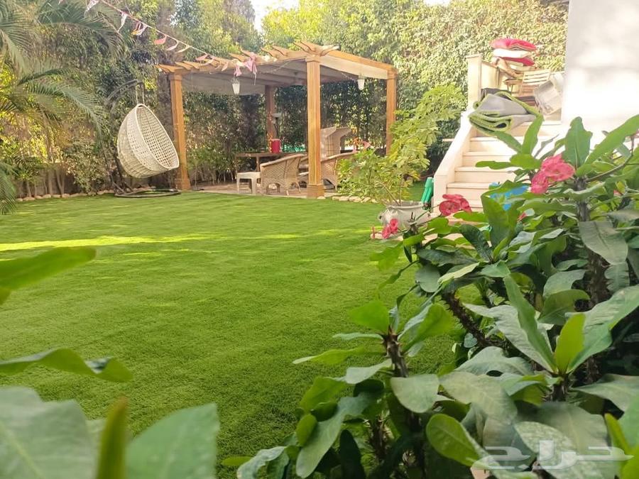 صيانة حدائق64204578479746111