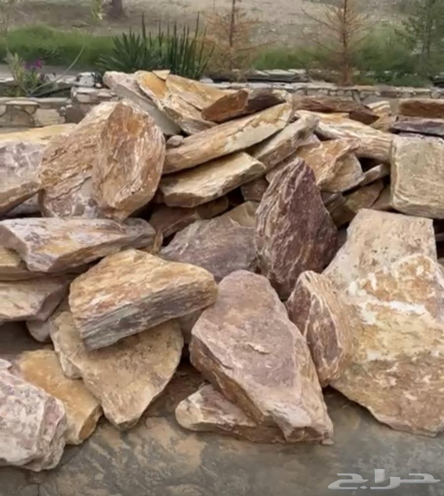 حجر تنومة64204580931714110