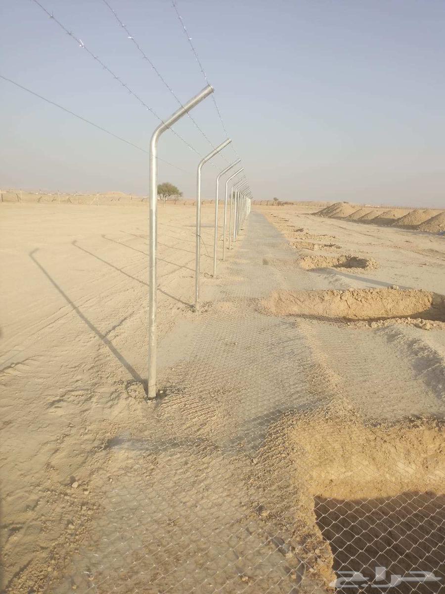 شبوك64203598748675113