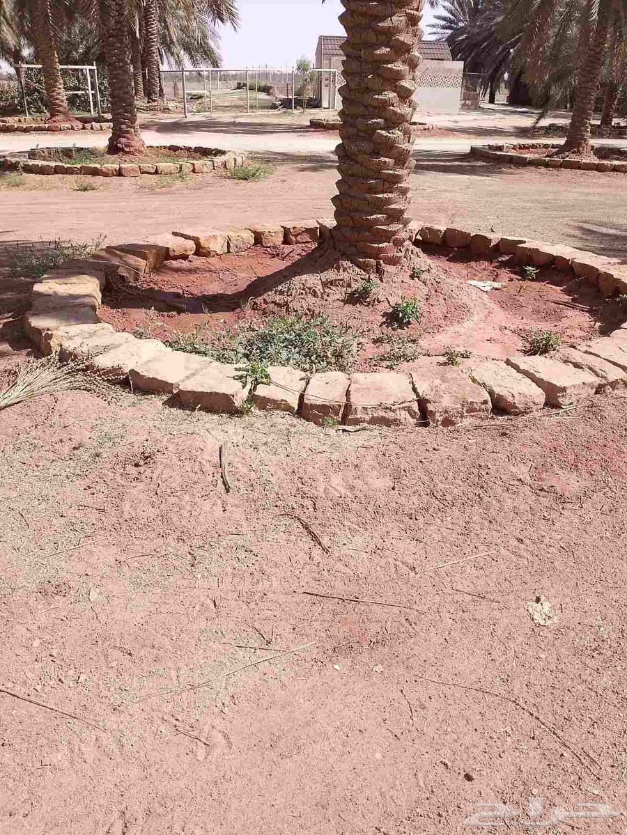 توريد وتركيب64205080292739114