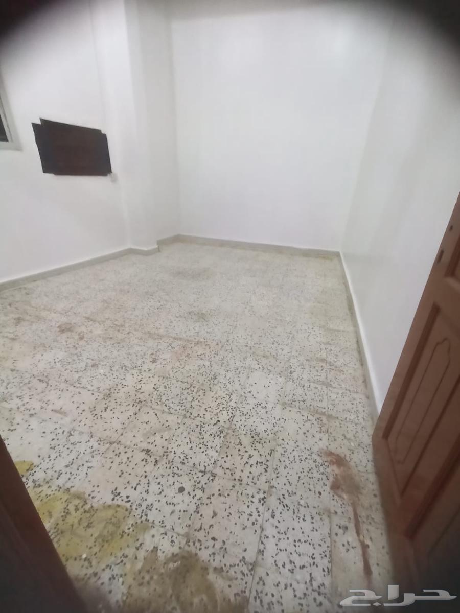 شقه عزاب خميس مشيط64161164400387111