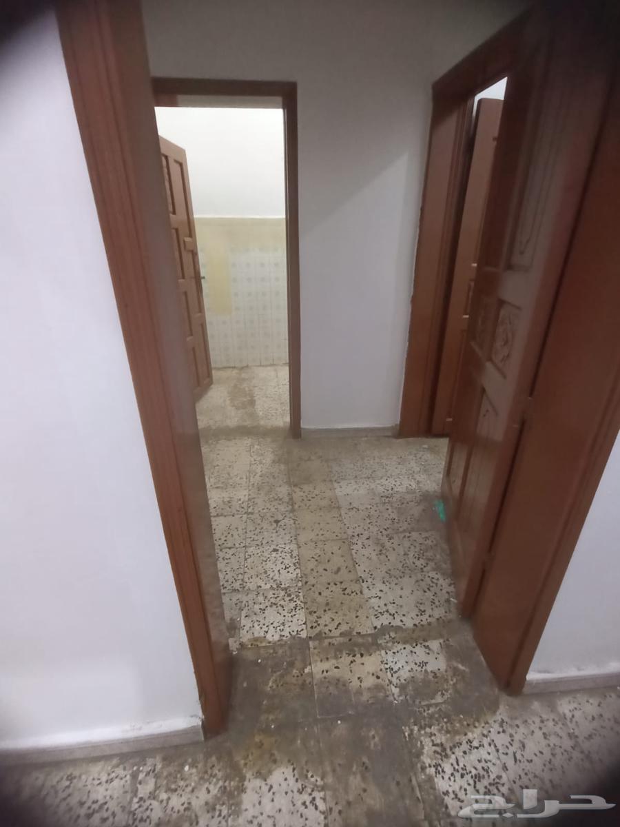 شقه عزاب خميس مشيط64161164400387113