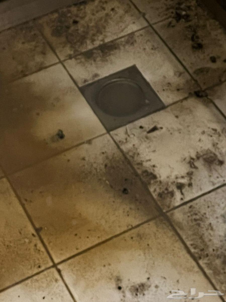 تسليك مجارى مطابخ حمامات فتشات الحوش بالرياض64204091044739113