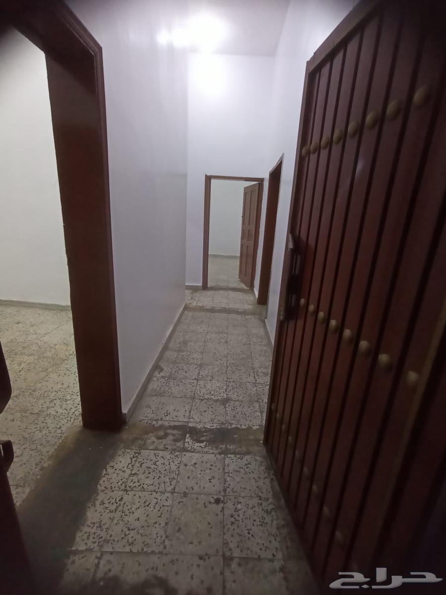 شقه عزاب خميس مشيط64161164400387112