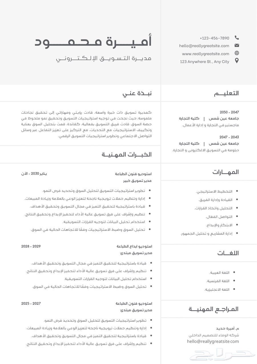 Professional Resume (CV)64204831885698113