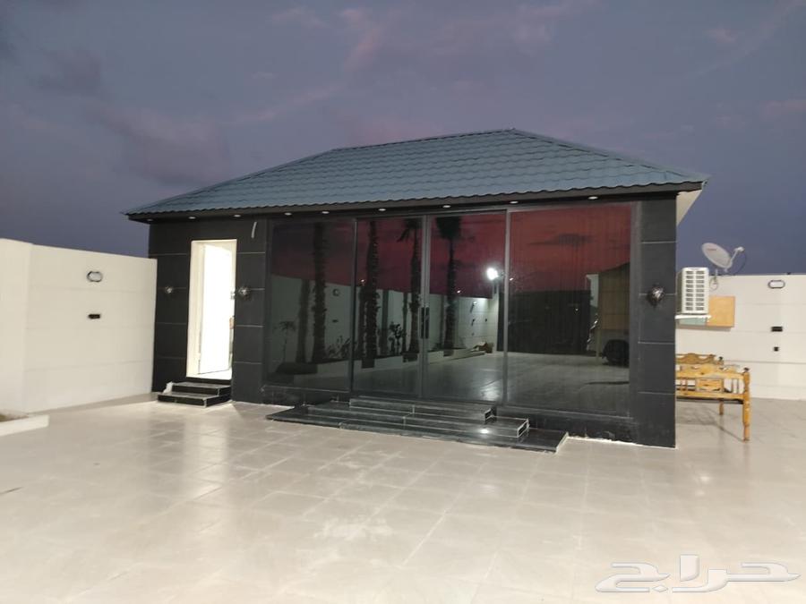 Zoghas Skrit Jazan for Communication64205337816707113