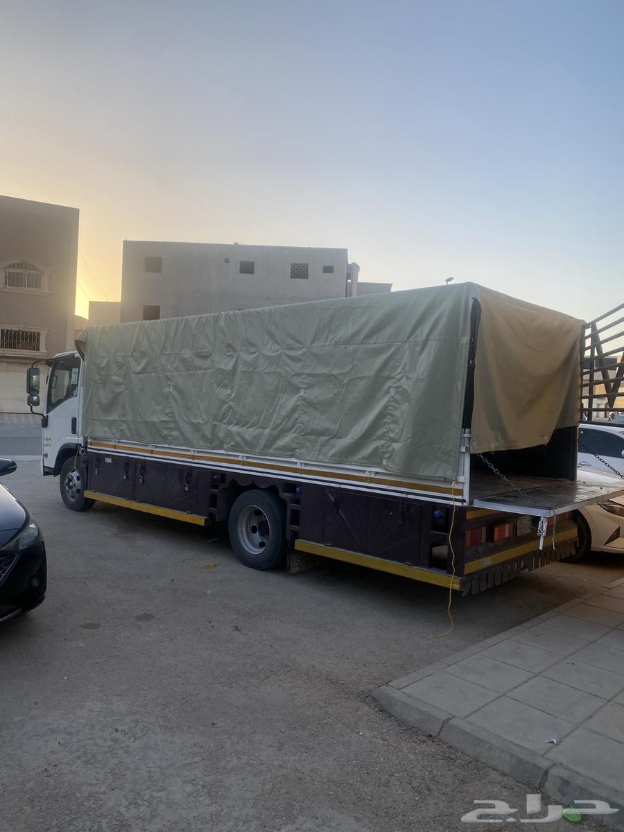 Dina Jumbo Asizo Large Net64203857718530111