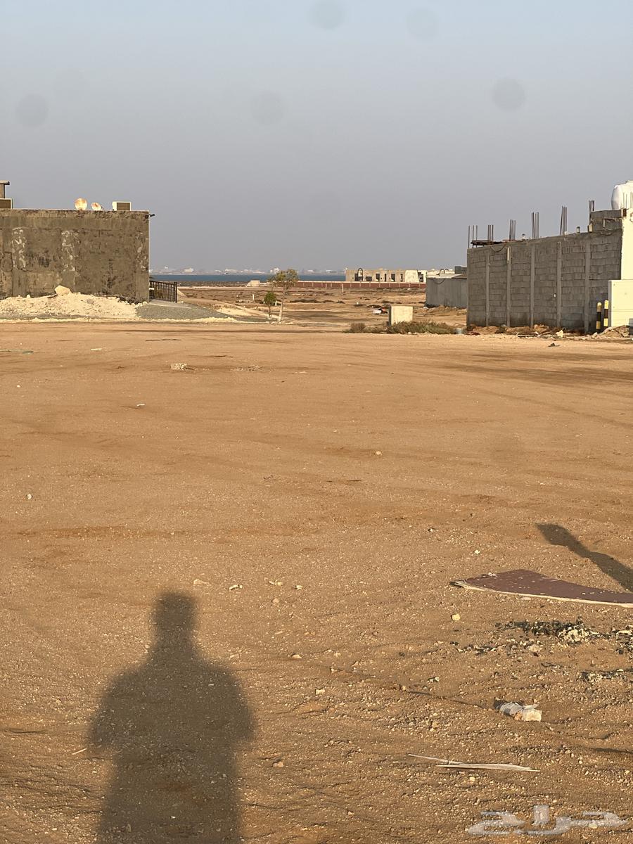 Al-Muruj District, Al-Taba Area, Plot 127 J S, 900 sqm, 25 m Closed Street64164976317058114