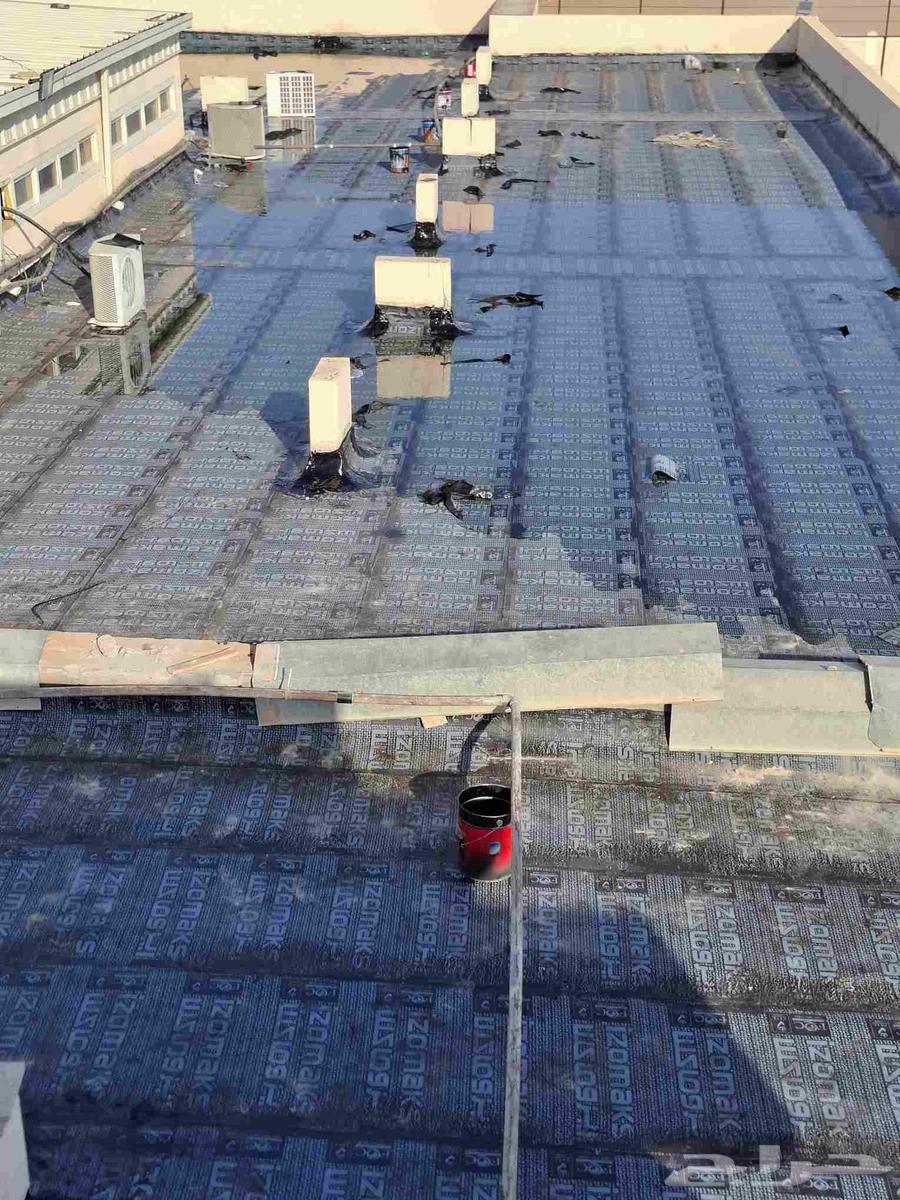 الفيصل العوازي64205336512643114