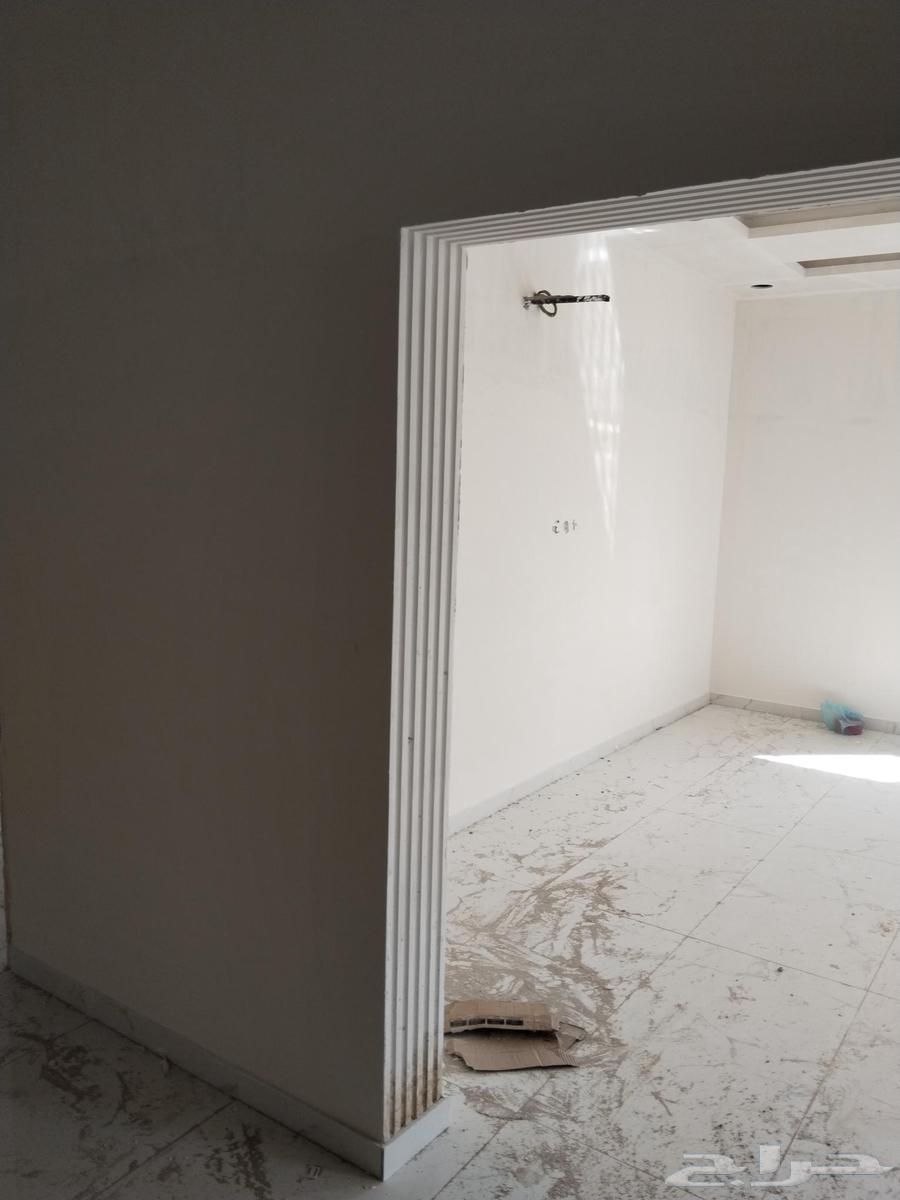 معلم جبس با كستانى شغل ممتاز64205334742018113