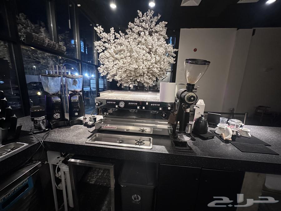 كافيه للتقبيل بالسلام64161165186177113