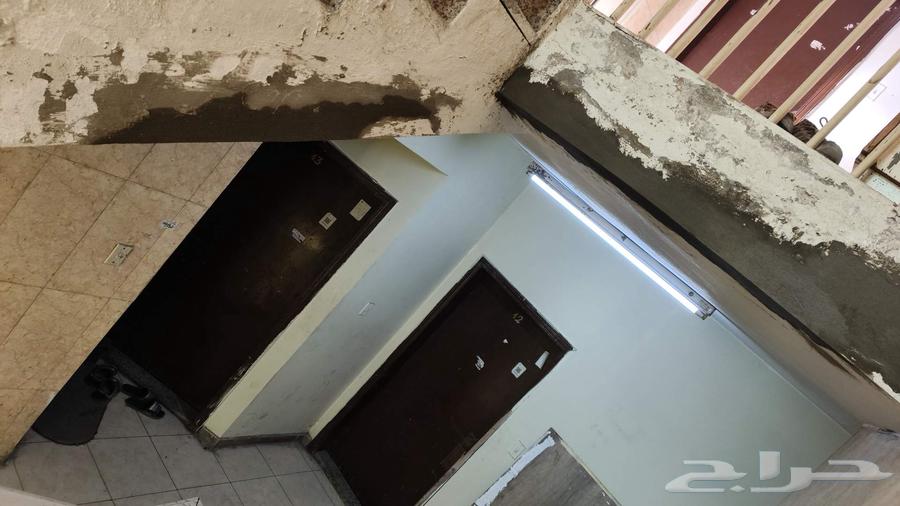 Laying, breaking and repairing64203600117379112