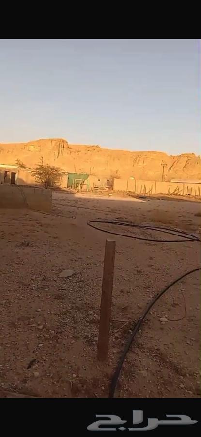اعرض لكم حوش وينفع سكني للبيع في قصور المقبل بمساحه 750064165192863363110